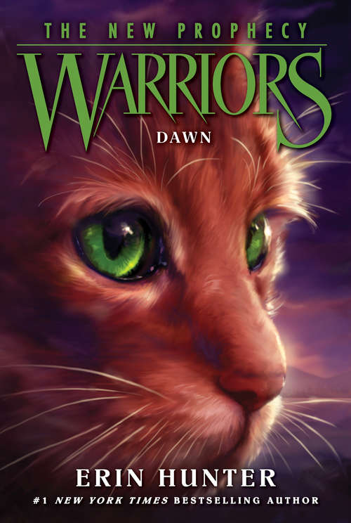 Book cover of Warriors: The New Prophecy #3: Dawn