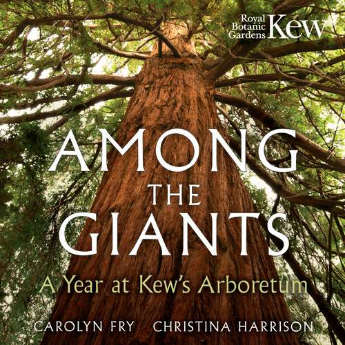 Book cover of Among the Giants: A Year at Kew's Arboretum