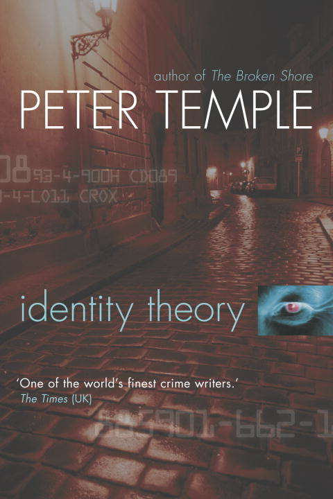Book cover of Identity Theory