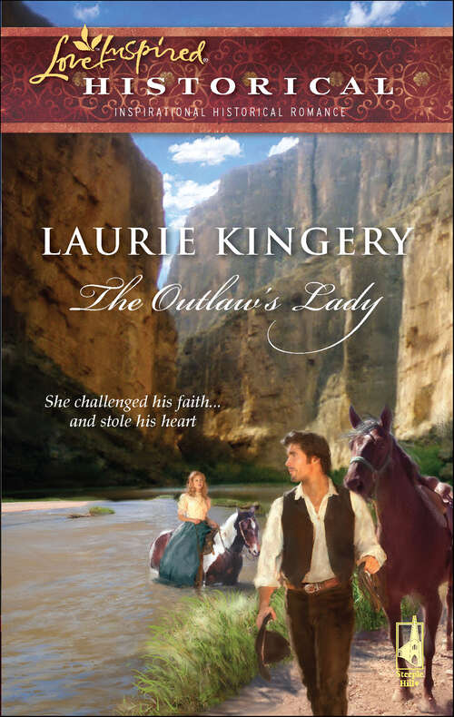 Book cover of The Outlaw's Lady