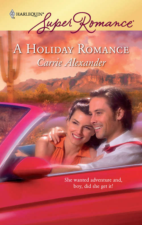 Book cover of A Holiday Romance