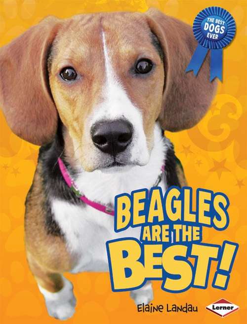 Book cover of Beagles Are the Best! (The Best Dogs Ever)