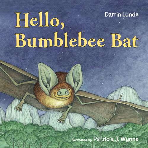 Book cover of Hello, Bumblebee Bat