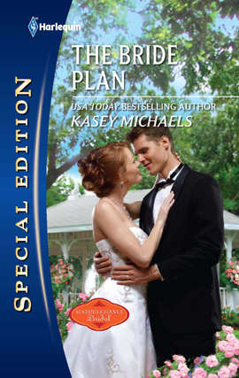 Book cover of The Bride Plan