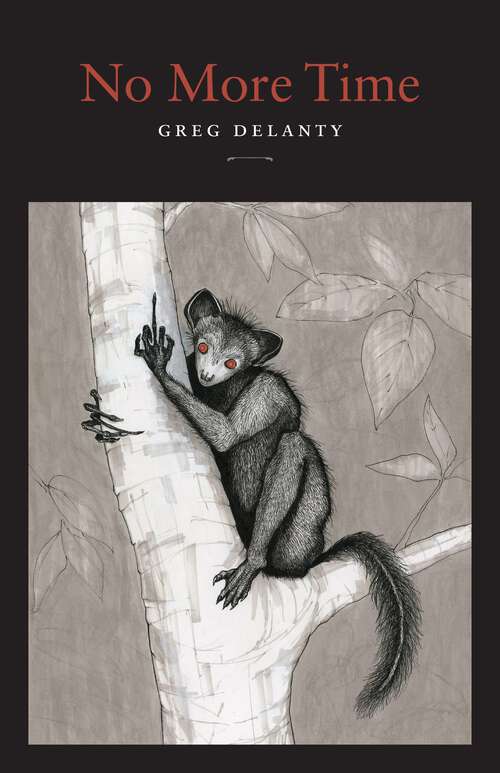 Book cover of No More Time