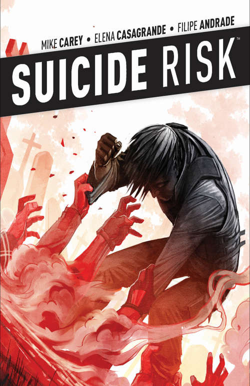 Suicide Risk Vol. 4 (Suicide Risk #4)