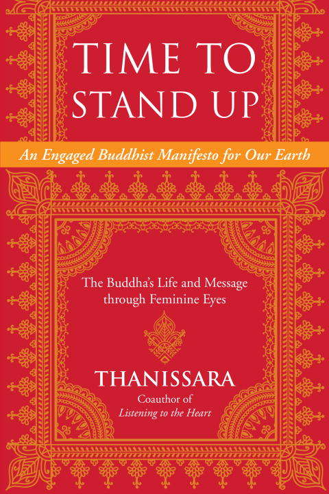 Book cover of Time to Stand Up