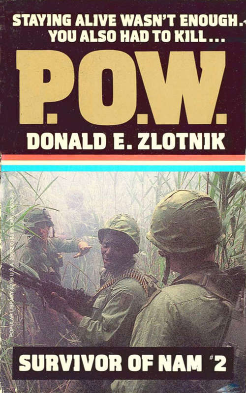 Book cover of P.O.W. Survivor of Nam #2