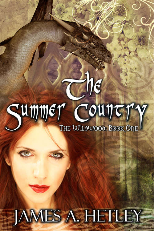 Book cover of The Summer Country