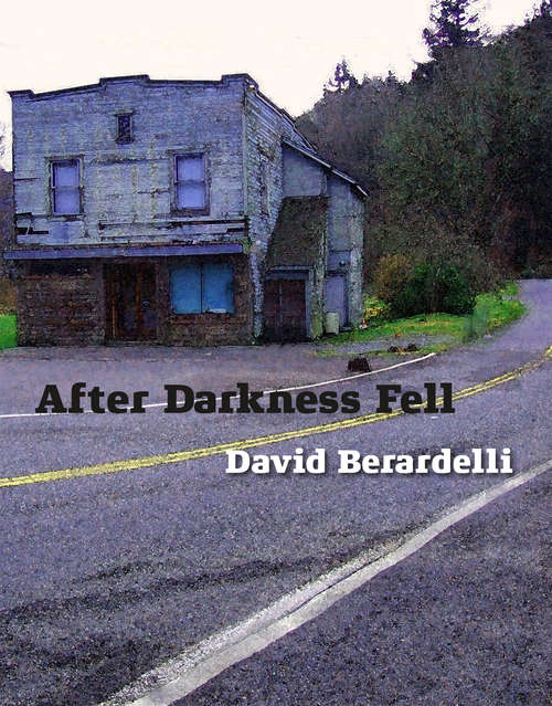 Book cover of After Darkness Fell