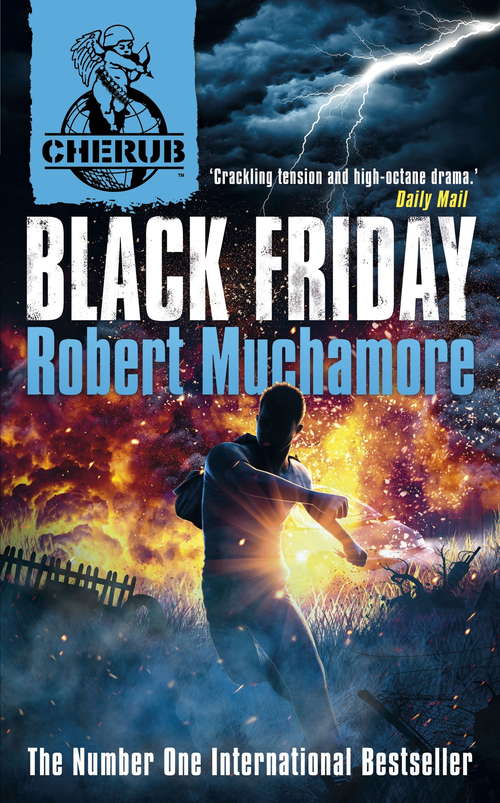 Book cover of Black Friday: Book 15