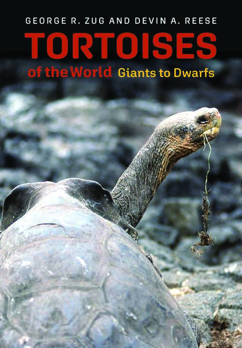 Book cover of Tortoises of the World: Giants To Dwarfs