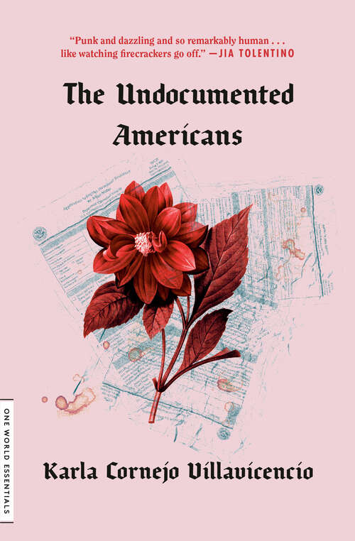 Book cover of The Undocumented Americans