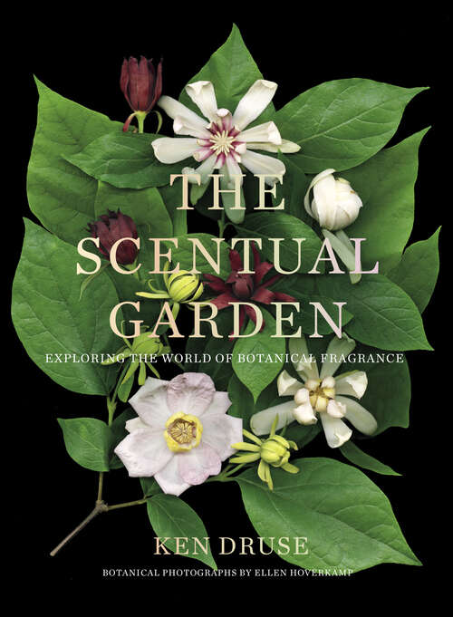 Book cover of The Scentual Garden: Exploring the World of Botanical Fragrance