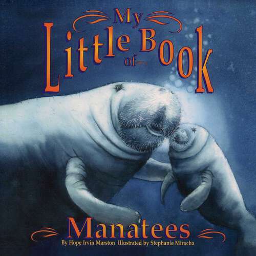 Book cover of My Little Book of Manatees