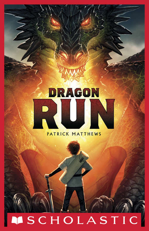 Book cover of Dragon Run (Dragon Run Ser.)