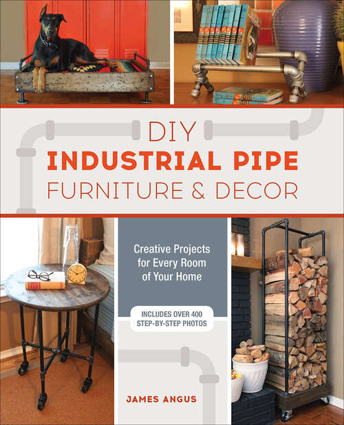 Book cover of DIY Industrial Pipe Furniture & Decor: Creative Projects for Every Room of Your Home