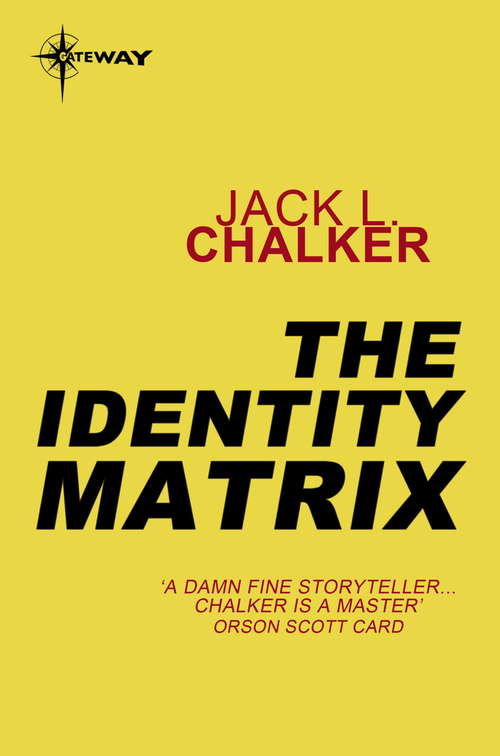 Book cover of The Identity Matrix