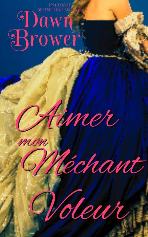 Book cover of Aimer mon méchant voleur