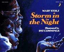 Book cover of Storm In The Night