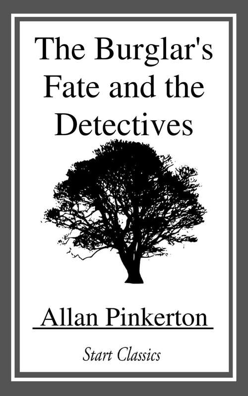 Book cover of The Burglar's Fate and the Detectives