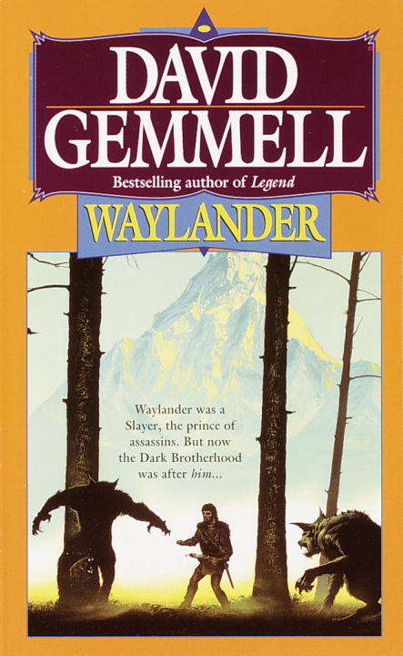 Book cover of Waylander (Drenai Saga #3)