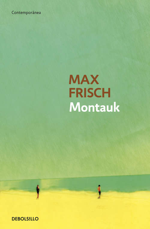 Book cover of Montauk