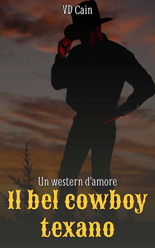 Il bel cowboy texano - Un western d'amore