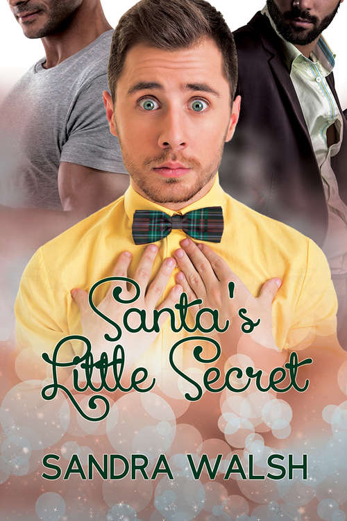 Book cover of Santa's Little Secret