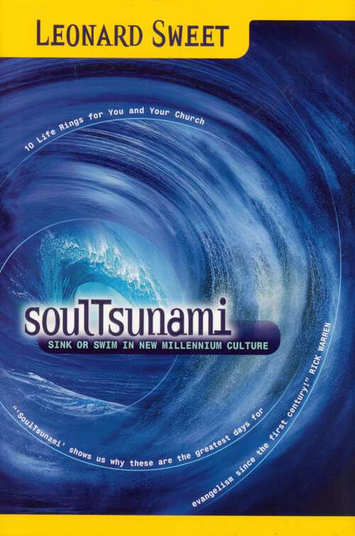 Book cover of Soultsunami: Sink or Swim in New Millennium Culture