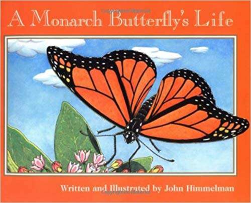 Book cover of A Monarch Butterfly’s Life (Fountas & Pinnell LLI Blue: Level K)