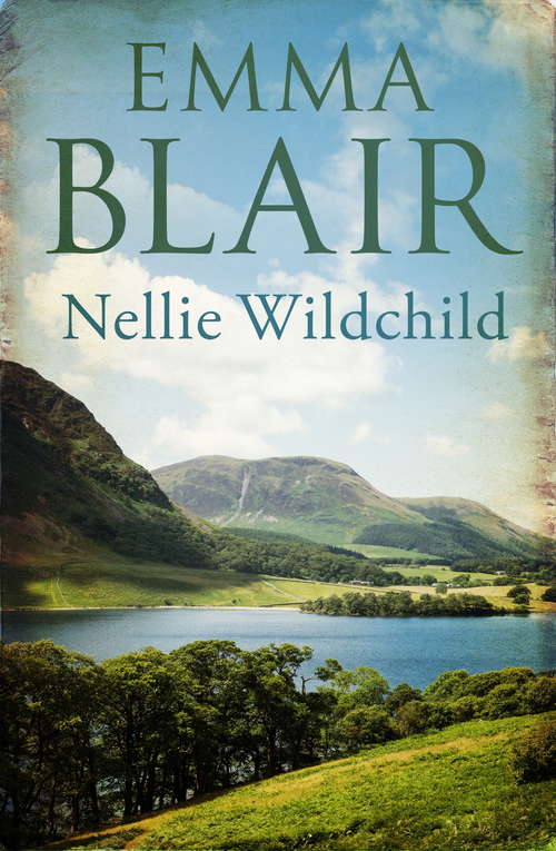 Book cover of Nellie Wildchild