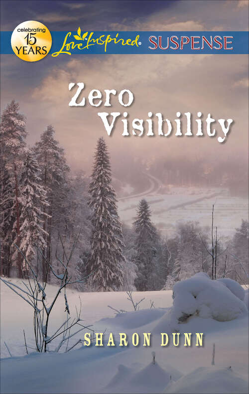 Book cover of Zero Visibility