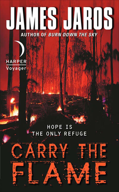 Book cover of Carry the Flame