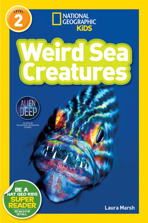 Book cover of Weird Sea Creatures (Readers)