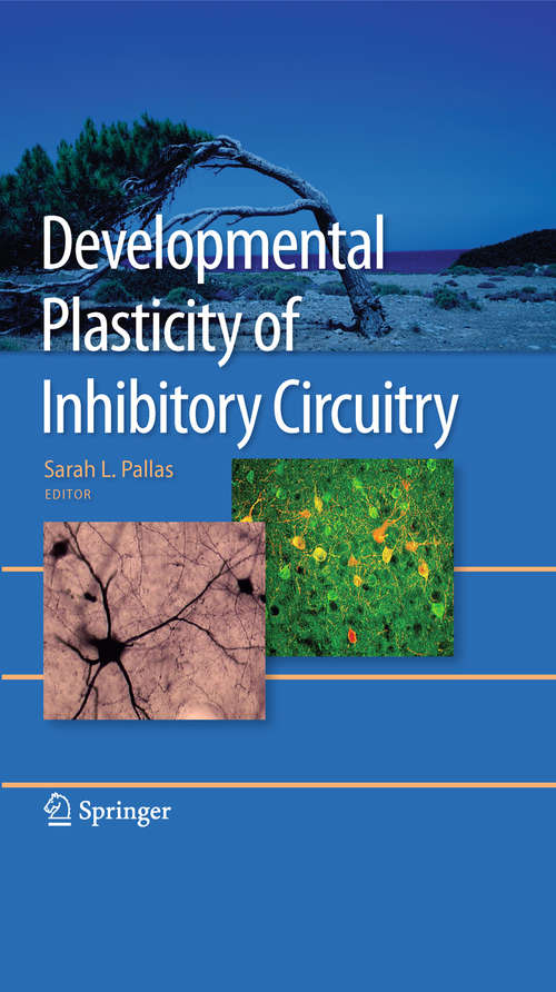 Book cover of Developmental Plasticity of Inhibitory Circuitry