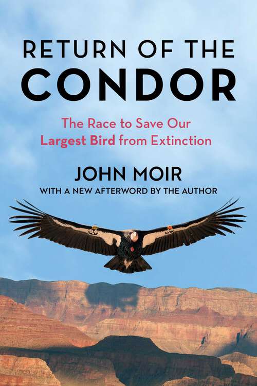Book cover of Return of the Condor: The Race to Save Our Largest Bird from Extinction