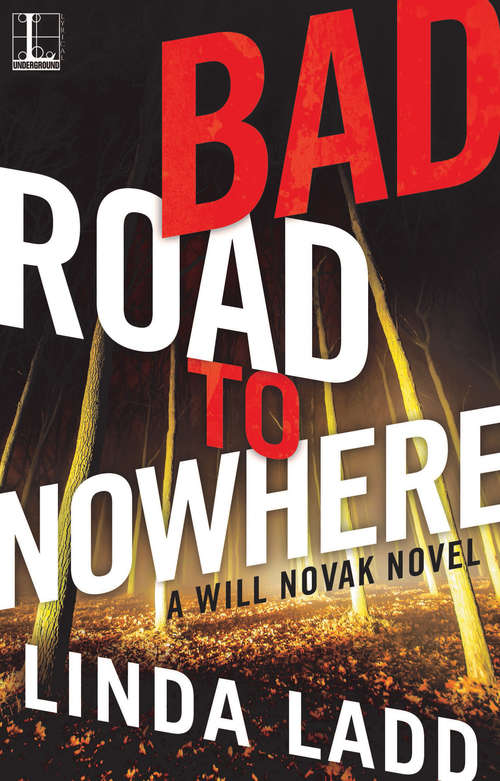 Bad Road to Nowhere (A Will Novak Novel #1)