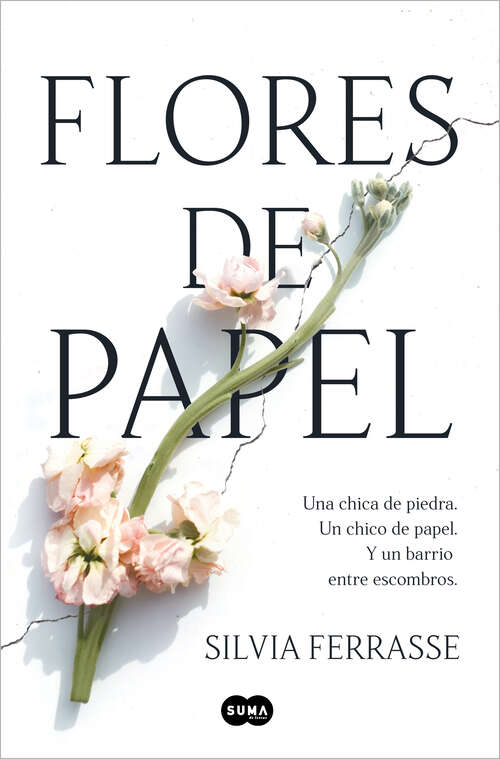 Book cover of Flores de papel