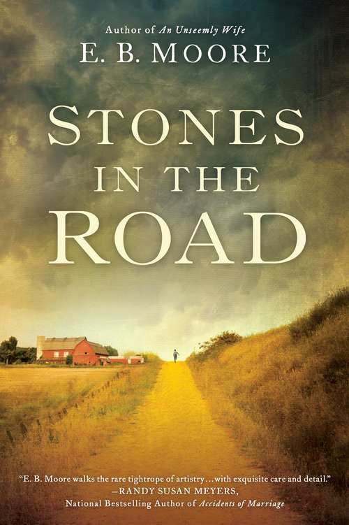 Book cover of Stones In the Road