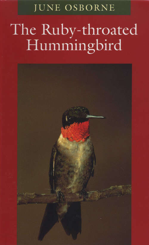 Book cover of The Ruby-throated Hummingbird (Corrie Herring Hooks Series)