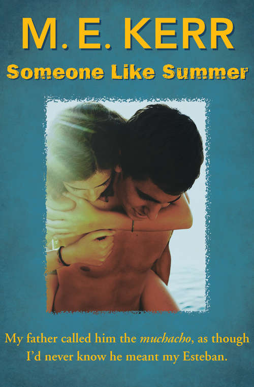 Book cover of Someone Like Summer