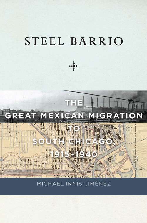 Book cover of Steel Barrio