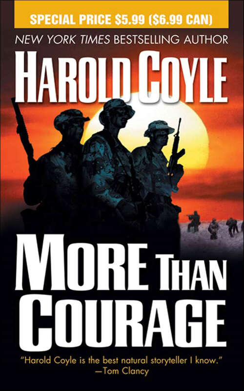 Book cover of More Than Courage (Nathan Dixon #3)
