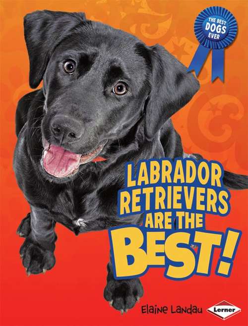 Book cover of Labrador Retrievers Are the Best! (The Best Dogs Ever)