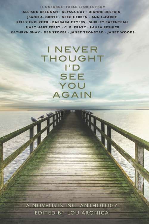 Book cover of I Never Thought I'd See You Again: A Novelists Inc. Anthology