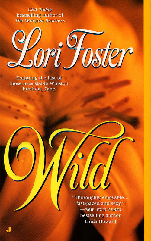 Book cover of Wild (Winston Brothers & Visitation #1)