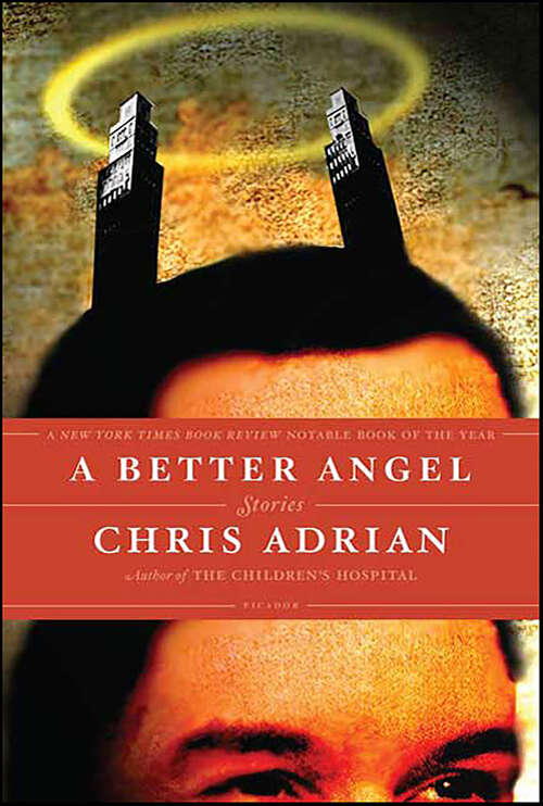 Book cover of A Better Angel: Stories