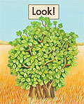 Book cover of Look! (Fountas & Pinnell LLI Green: Level A, Lesson 40)