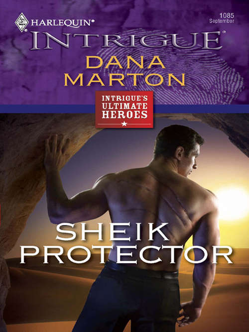 Book cover of Sheik Protector